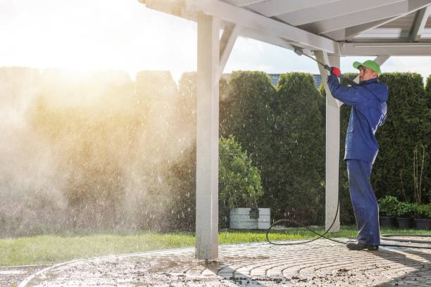 Best Solar Panel Cleaning  in Linden, TX